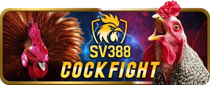 Câu hỏi thường gặp về dịch vụ 33vin